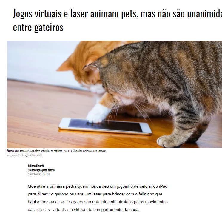 Jogos virtuais e laser animam pets, mas não são unanimidade entre gateiros  - 06/03/2021 - UOL Nossa